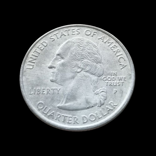 25cent USA North Dakota 2006 Buffalo coin used with P mark
