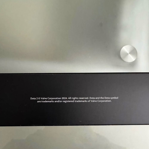 Aegis 2024 Dota 2 collectible like new from the Compendium