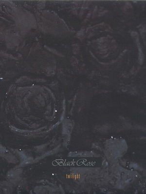 Black Rose Twilight vinyl record used, electronic genre
