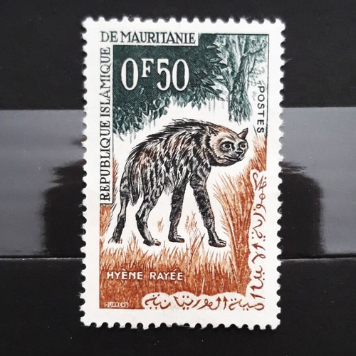 Mauritania 1963 Hyene Rayee stamp new
