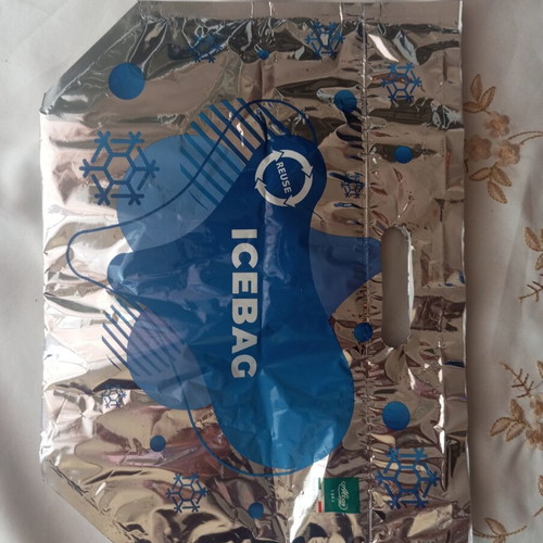 Small ice bag