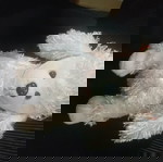  ΚΟΥΚΛΑΚΙ ΣΗΥΛΑΚΙ