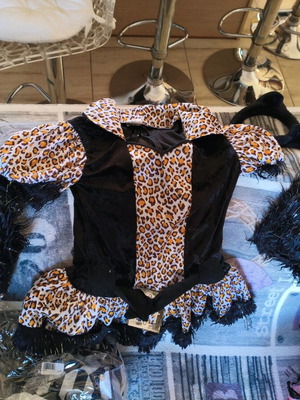 Children's cat costume size 5-6 like new with leg warmers and headband
