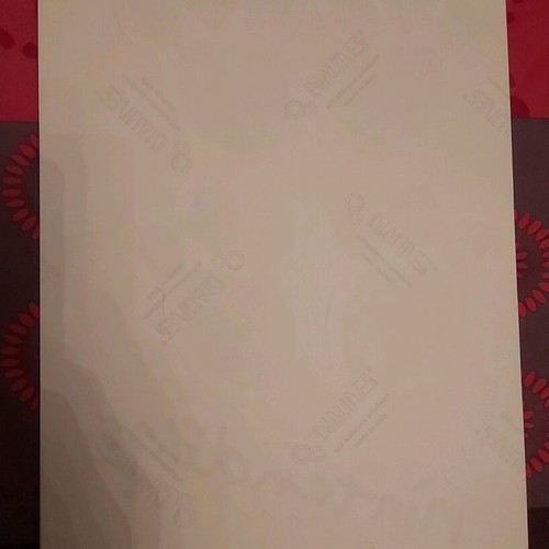 Nintendogs Sticker A4 Size Like New