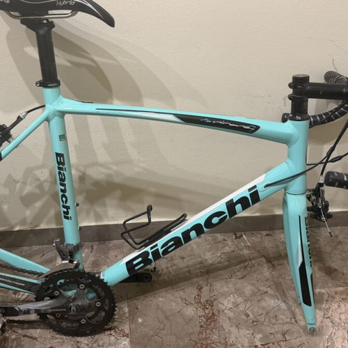 Bianchi bike frame
