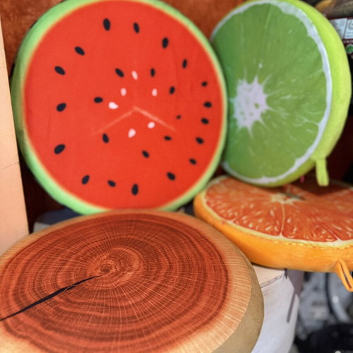 Decorative Fruit Pillows like new, watermelon, lime, and wood designs