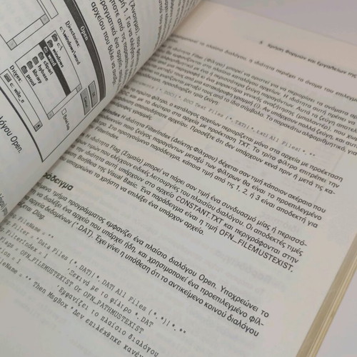 Visual Basic for Windows book used
