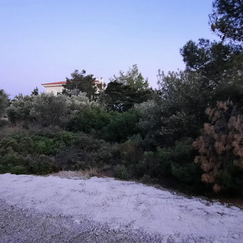 Land 1,500 m² in Drafi, corner plot, within city plan