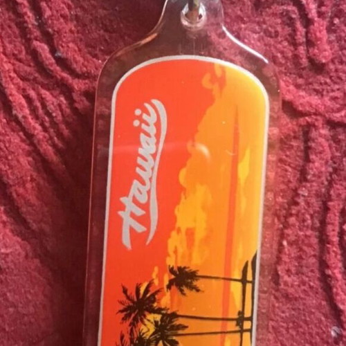 Hawaii keychain new