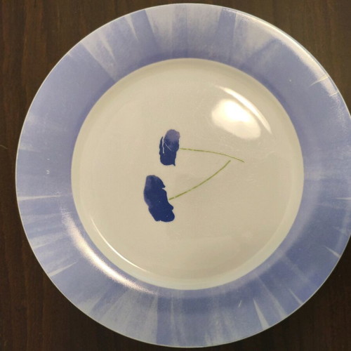 Serving set used 17 pieces with shallow, deep and dessert plates