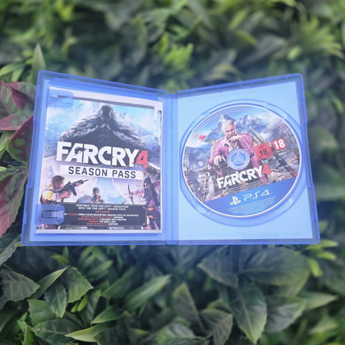 Far Cry 4 PS4 game