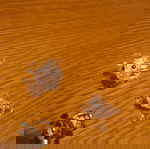  Μινιατούρες Swarovski