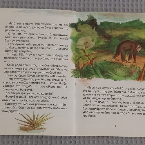 Riki the Monkey used children's book