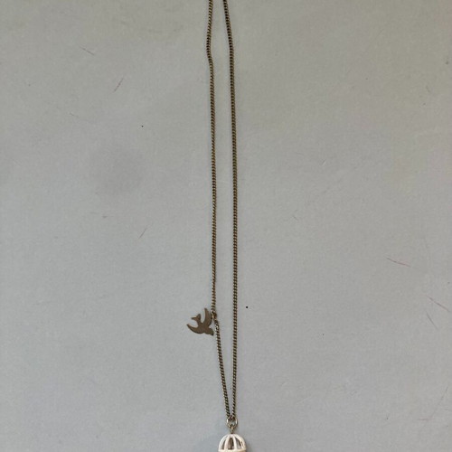 Pendant necklace cage used with bird and pearl Accessorize