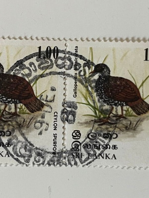 Винтидж марки от Шри Ланка 1979 употребявани, Ceylon Spurfowl, комплект от 2