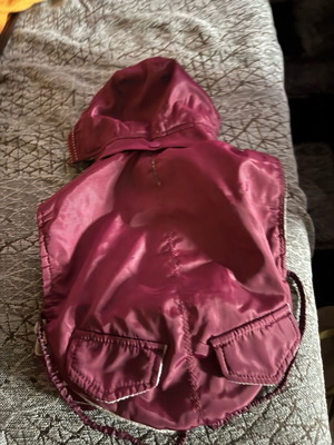 Trixie small jacket like new with detachable hood