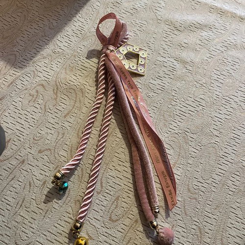 Pink velvet charm new