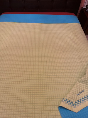 Guy Laroche double quilt 200x220 lightly used