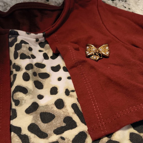 Girl's dress used with leopard print and red bolero