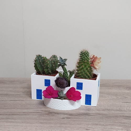 Nisiotika Spitakia 3D Printed Decorative Plant Holder new
