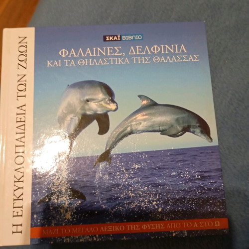 Whales, dolphins and sea mammals like new