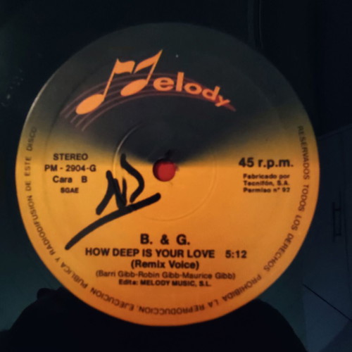 B&G How Deep Is Your Love 12'' Vinyl Single used, electronic