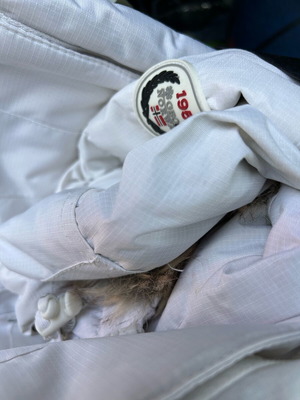 Μπουφάν Geographical Norway άσπρο σαν καινούργιο, μέγεθος M