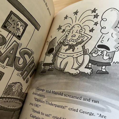 Book Adventures of Captain Underpants new, softcover