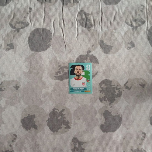 FIFA World Cup 2026 JOR 17 sticker