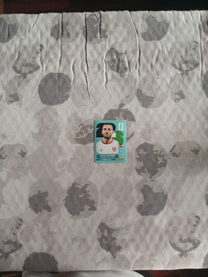FIFA World Cup 2026 JOR 17 sticker