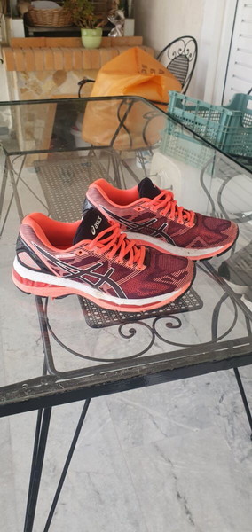 Asics Gel Nimbus 19 T750N
