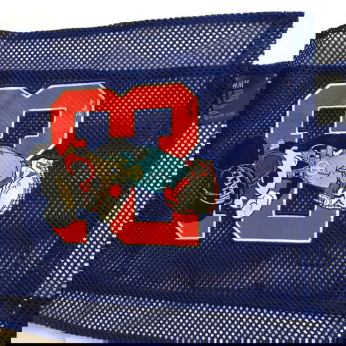 Шал H&M by Moschino Disney Mickey Minnie Jeremy Scott лого мрежа син като ново