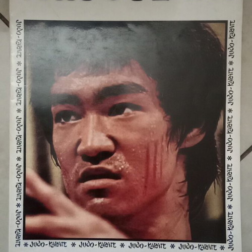 The Life of Bruce Lee biography book like new, Greek