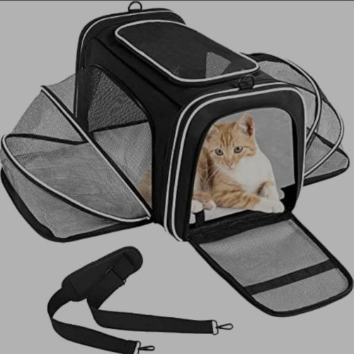 Pet carrier brand new
