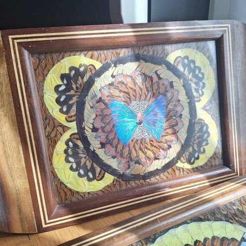 Decorative trays with real butterflies new, 70-year-old heirloom set of 2