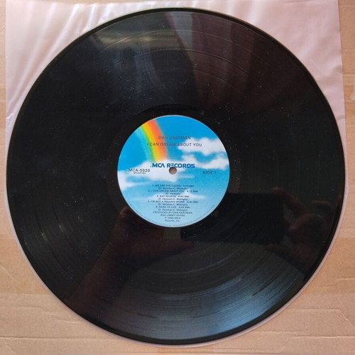 Dan Hartman I Can Dream About You LP like new, pop