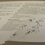  Ikebana Card Book