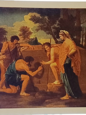 Poussin 264 card postal new