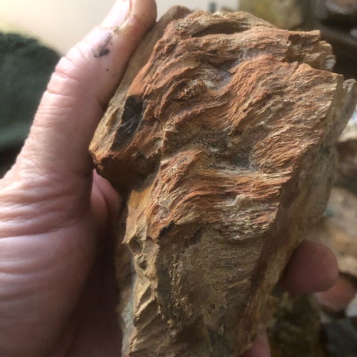 Petrified wood Madagascar new, large piece with interesting shade