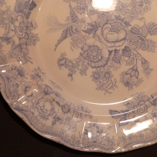 Ralph Hammersley & Sons Asiatic Pheasants plate vintage decorative, used