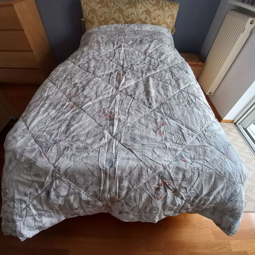 Double quilt winter like new with butterfly pattern