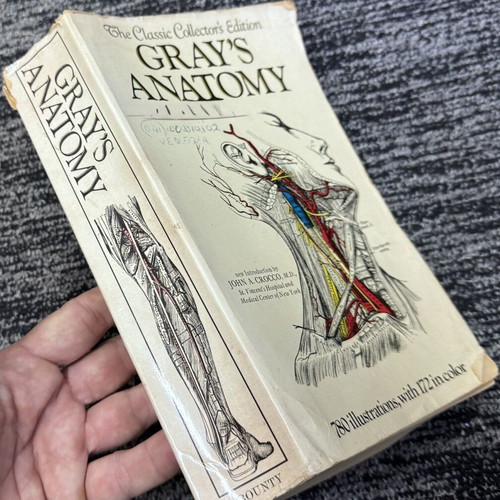 Gray’s Anatomy paperback original edition used, cover in bad shape