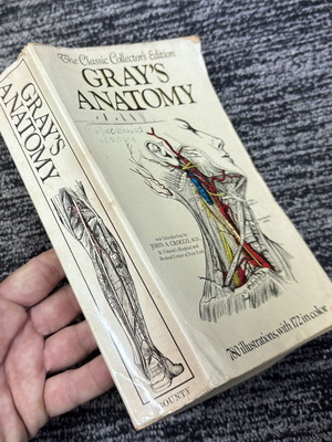 Gray’s Anatomy paperback original edition used, cover in bad shape