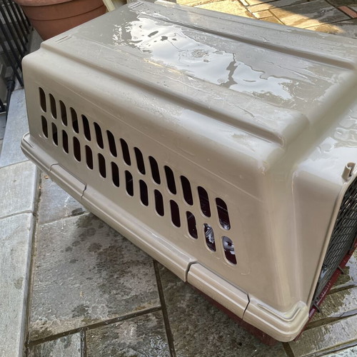 Petmate Vari Kennel pet carrier new, 80x60x60 cm, for wolfdog