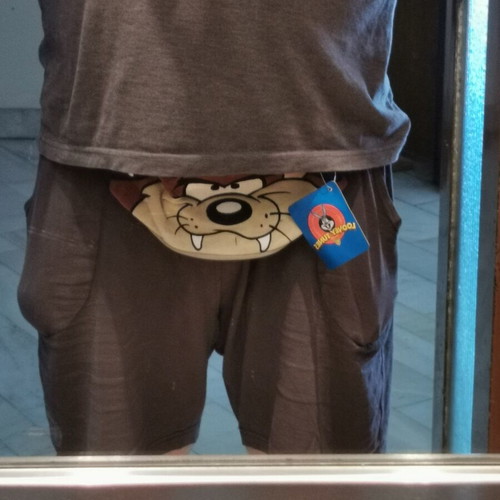 Paxos Vintage Waist Bag Looney Tunes Taz New Old Stock