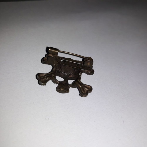 Skull pin used