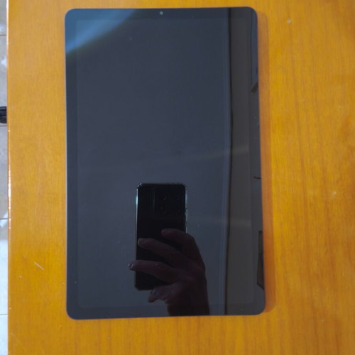 Samsung Galaxy Tab S6 Lite 4G/LTE tablet like new with S Pen and case