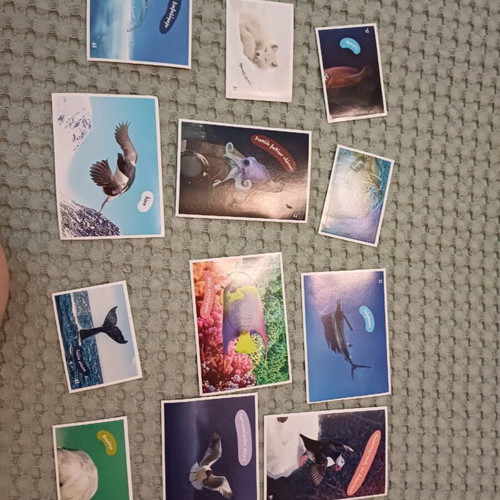 AB Vasilopoulos Stickers Exploring The Ocean new