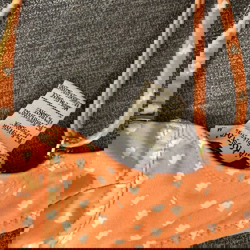плувно облекло Vassia Kostara