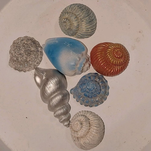 Decorative plaster seashells new